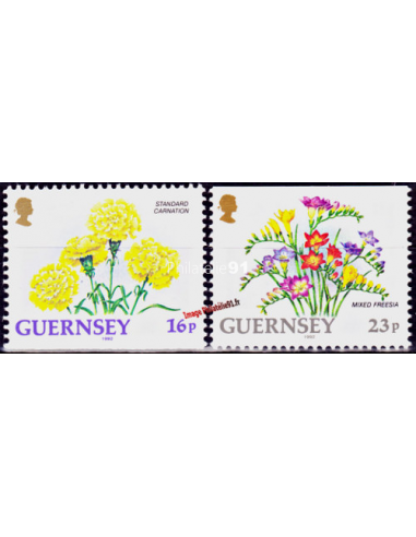 GUERNESEY - n°  569a et 571a  ** -...