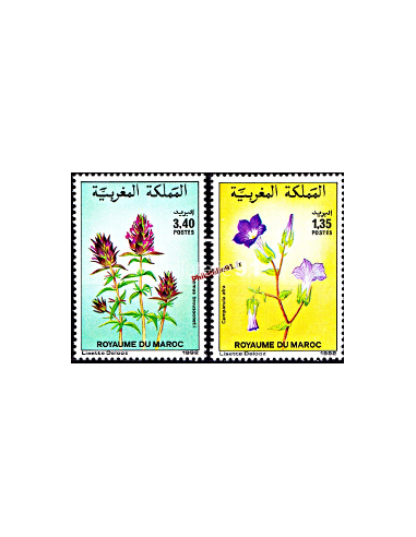 Maroc - n° 1124 à 1125 - Fleurs
