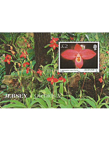 JERSEY - BF n°  54 ** - Orchidées de...