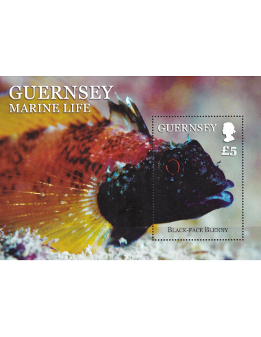 GUERNESEY - BF n° 79 ** - Poissons -...
