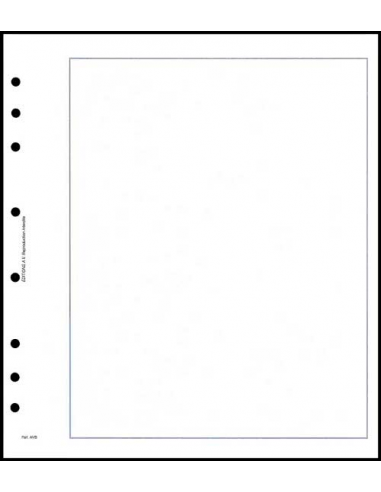 Feuilles neutres blanches quadrillées format A4 à 18 perforations Lindner.  (804a) - Philantologie