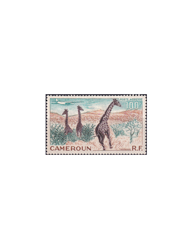 CAMEROUN - PA   47 * - Girafes dans...