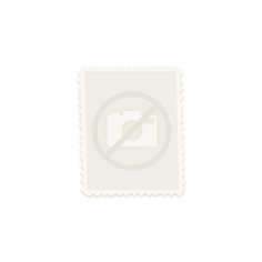 A.E.F. - n°    1 * - timbre...